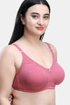 Maroon Clothing Double Layered Non Wired Full Coverage T-Shirt Bra (Pack of 2) - Multicolor — thumbnail 3